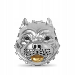 GNOCE - Charms American Bully Pitbull