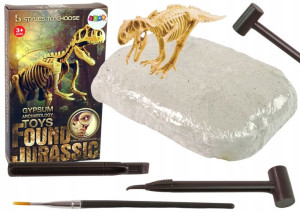 Archeologiczne Wykopaliska Szkielet Dinozaura Tyra
