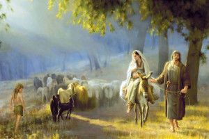 Obraz (30 x 40) - Z Nazaretu do Betlejem