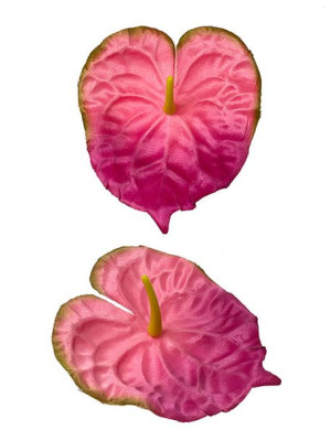 Anturium główka wyrobowa L037B (15 cm) Różowy #5