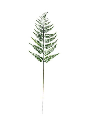 Liść paproci RX144  (60 cm)