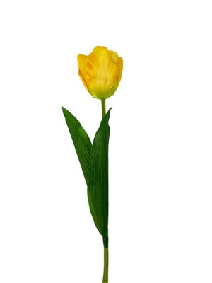 Tulipan pojedynczy satynowy G027 (58cm) Red/Yellow Zółty