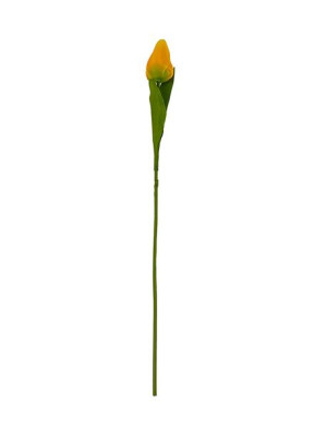 Tulipan pojedynczy Satyna F083 (53 cm) #4 Żółty