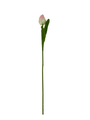 Tulipan pojedynczy Satyna F083 (53 cm) #6 Jasny róż