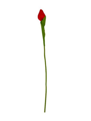 Tulipan pojedynczy Satyna F083 (53 cm) #5 Czerwony