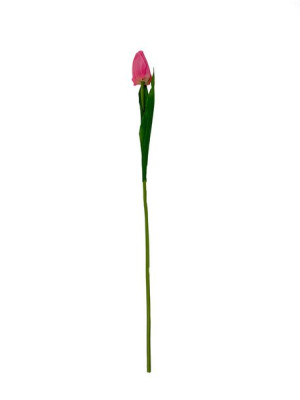 Tulipan pojedynczy G008SAT (50 cm) #3 Różowy
