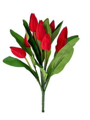Tulipan bukiet x 12 G012 (42 cm) #1 Czerwony