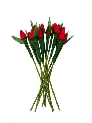 Tulipan pojedynczy TS001 12 szt. (35 cm) #6 Czerwony