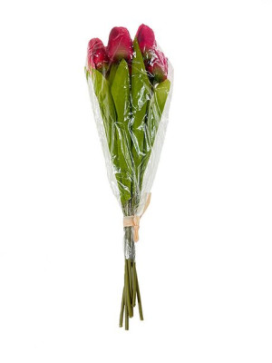 Tulipan w pęczku x 7  M544/7 Czerwony