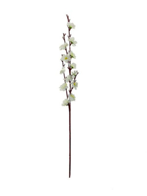 Jabłoń na gałązce P004 Opakowanie 12 szt. (58 cm) Biały