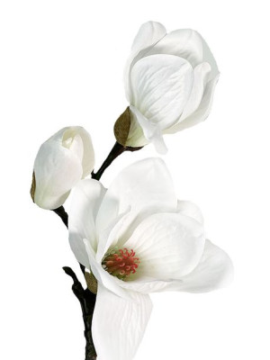 Gałązka magnolii S294 Premium "jak żywa" Biały