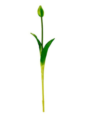 Tulipan gumowy K25 (45 cm) Zielony