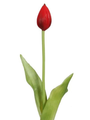 Tulipan gumowy K24 (43 cm) #1 Czerwony