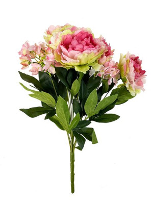 Bukiet mieszany Piwonia hortensja S422 (50 cm) Zielony/Róż