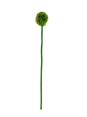 Czosnek dekoracyjny pojedynczy H262A (56 cm) Zielony
