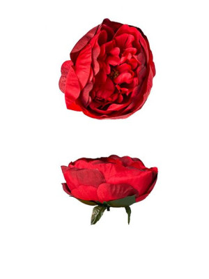 Peonia piwonia główka kwiatowa K134B #5 Czerwony