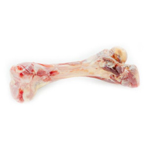Prosiciutto Bone - Suszona Kość z Szynki Parmeńskiej dla psa - cała