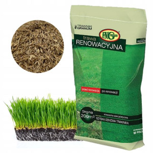 TRAWA Renowacyjna Regeneracyjna do Odnawiania 5kg