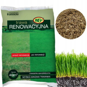 TRAWA Renowacyjna Regeneracyjna do Odnawiania 1kg