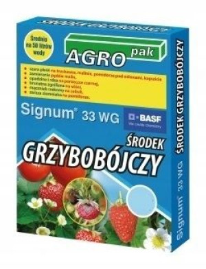 Signum 33 Wg Środek Grzybobójczy 50g