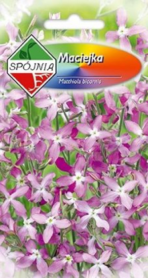 Maciejka Ogrodowa Pachnąca Nasiona Spójnia 3g