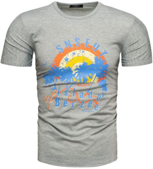 Koszulka męska t-shirt z printem szary Recea - L