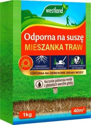 Trawa Odporna Na Suszę Nasiona Trawy 1kg Westland