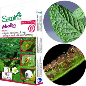 Mospilan 20 Sp Owady Mszyce Opuchlaki Stonki 2,5g