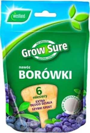 Nawóz 6 Miesięcy Do Borówki Borówek 300g Westland