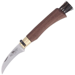 Nóż do grzybów Antonini Old Bear Mushroom Walnut Wood, Satin AISI 420 (AE 9