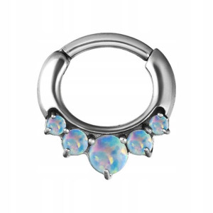 SS316L hinged owal 1,2x6 opal 5x WH