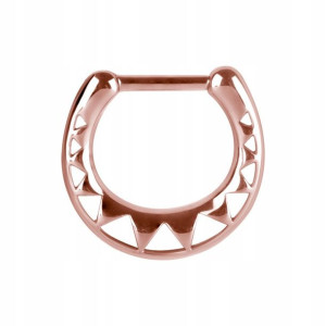 SS316L RG septum clicker 1,2x6 m16