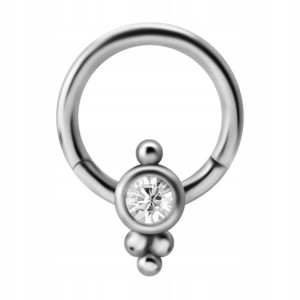 SS316L hinged segment ring 1,2x8 cluster CZ