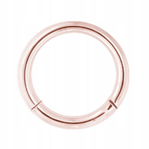 SS316L RG hinged segment ring 1,6x18 CONCH