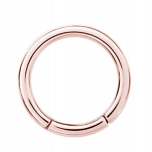 SS316L RG hinged segment ring 2x10 rose gold