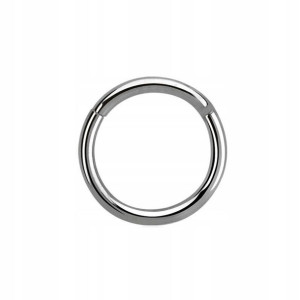 SS316L hinged segment ring 1,2x6
