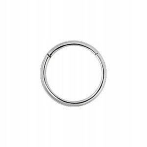 SS316L hinged segment ring 1x6