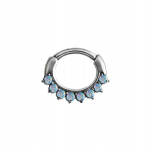 SS316L hinged owal 1,2x6 opal 8x WH