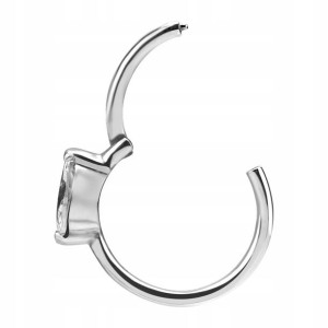 SS316L hinged segment ring 1,2x9 WH m21