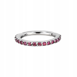 SS316L hinged segment nose ring 1,2x8 RE