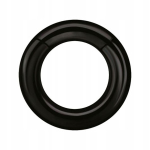 SS316L BK hinged segment ring 5x16