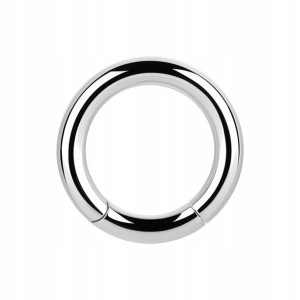 SS316L hinged segment ring 4x16