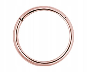 SS316L RG hinged segment ring 1x5