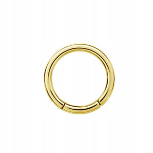 SS316L BG hinged segment ring 2x7