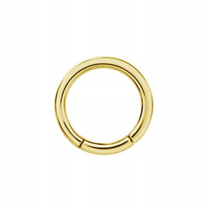 SS316L BG hinged segment ring 2,5x16