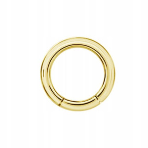 SS316L BG hinged segment ring 3x14