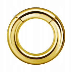 SS316L BG hinged segment ring 5x12