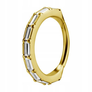 SS316L BG hinged segment ring 1,2x12 CONCH WH m41