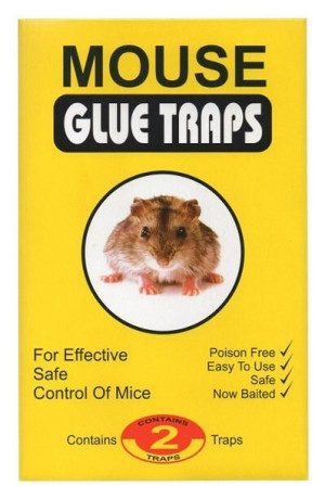Panko Mouse glue traps 2szt