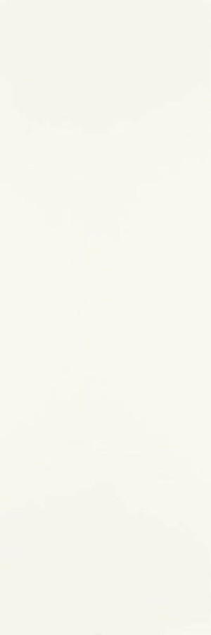 Płytka Ścienna Intense Tone Bianco Mat 29,8x89,8 Paradyż